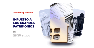 curso impuesto a los grandes patrimonios