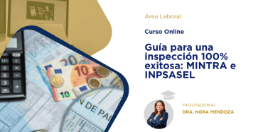 Curso guia para una inspeccion 100 porciento exitosa mintra e inpsasel